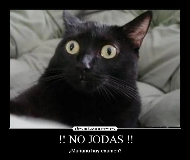 risas