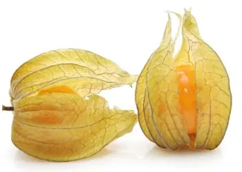 Exóticos frutos conócelos