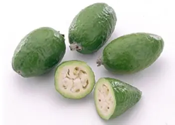 frutos
