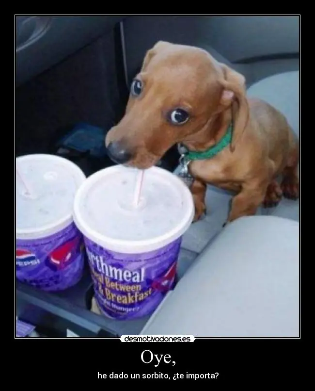 humor