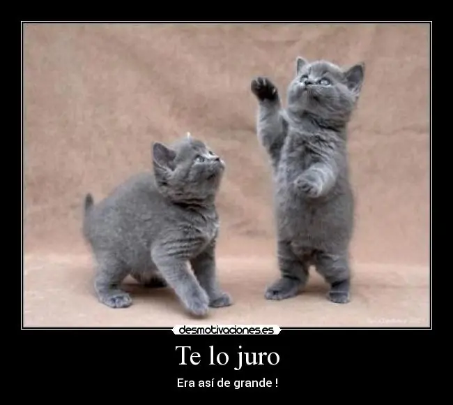 humor