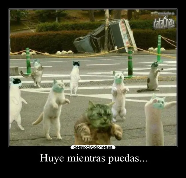 lo mejor