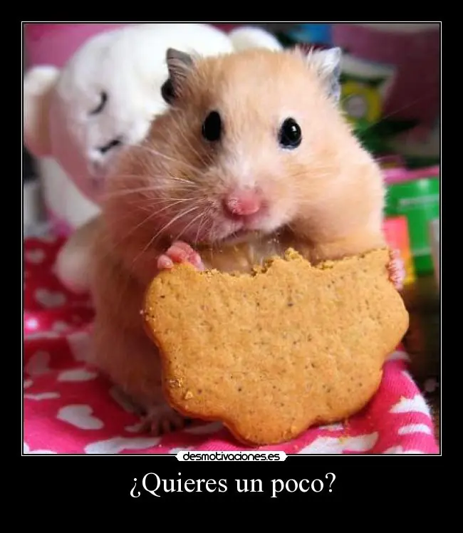 risas