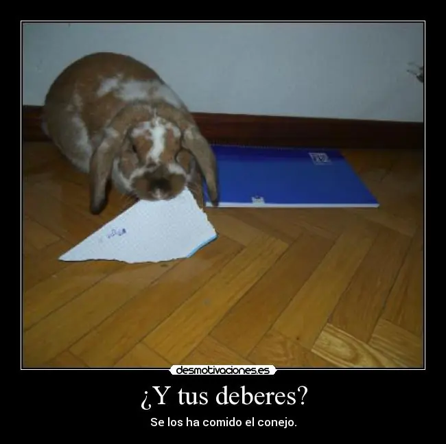 humor