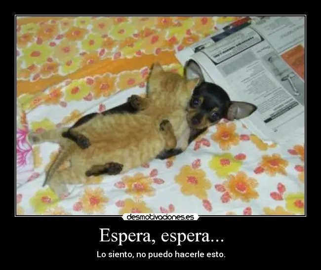 [Megapost] Humor Grafico [2da Parte]