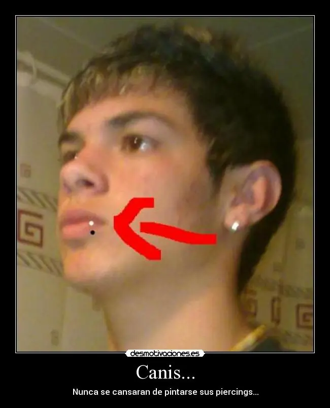 humor