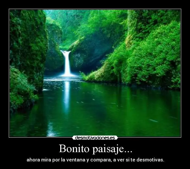 te saca una sonrisa