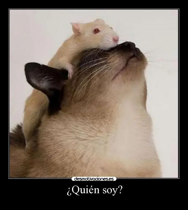 te saca una sonrisa