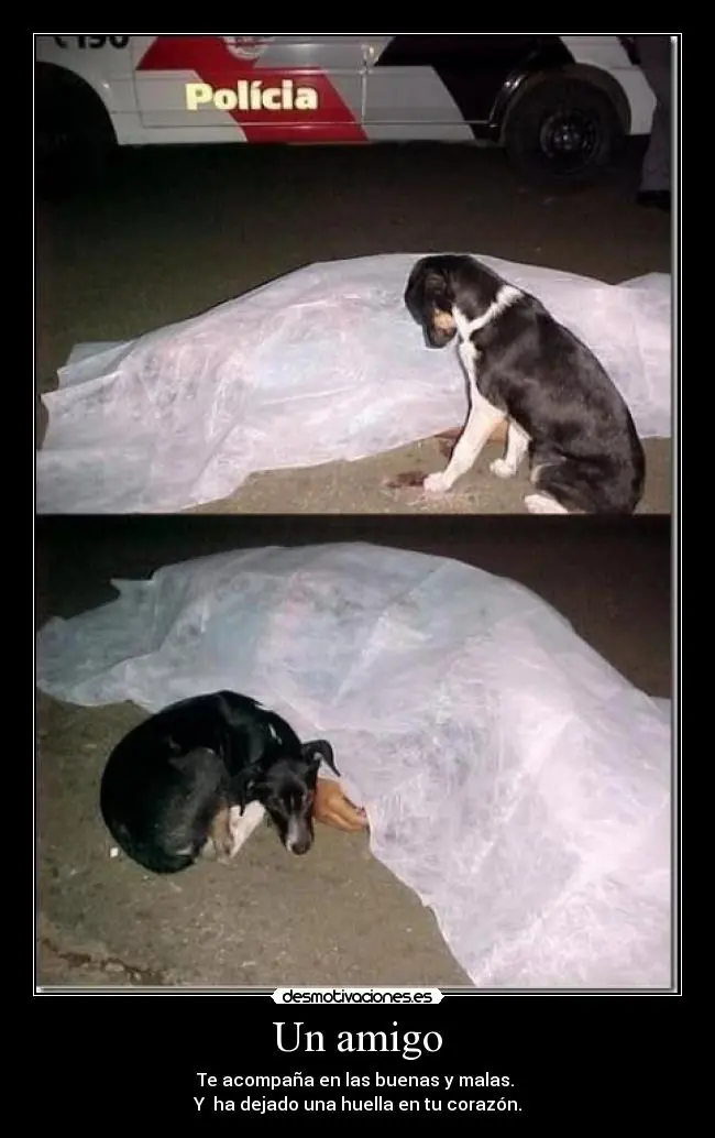 lo mejor