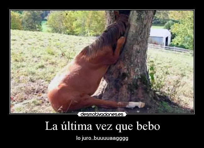 [Megapost] Humor Grafico [2da Parte]