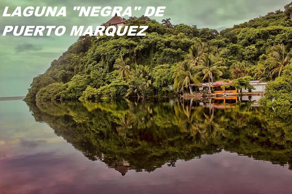 Megapost, El paraíso de México, entra y conocelo Megapost, El paraíso de México, entra y conocelo