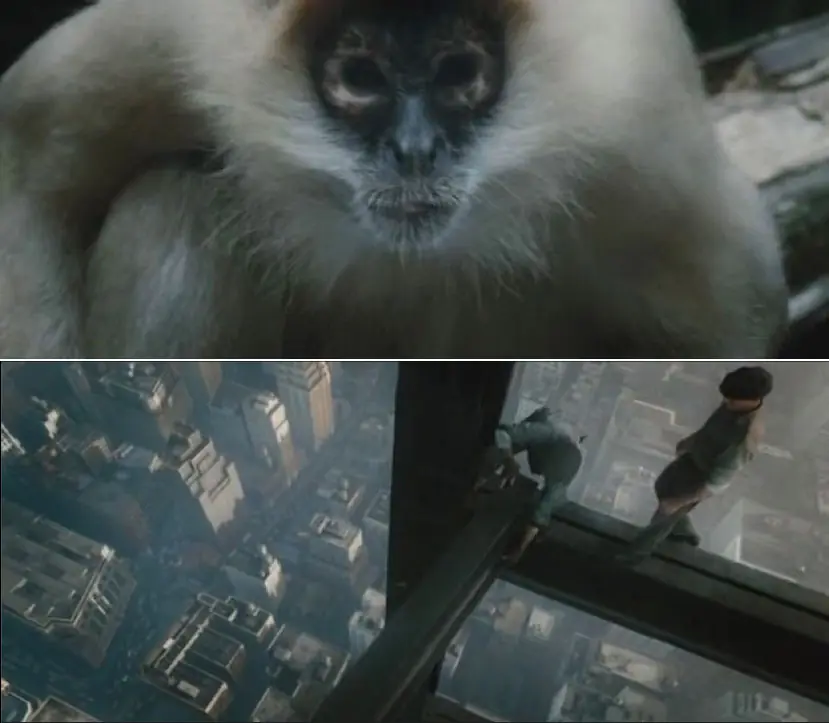 kong kong