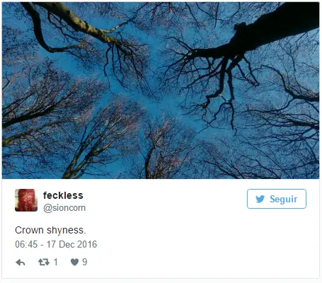 fenomenos de la naturaleza fenomenos de la naturaleza
