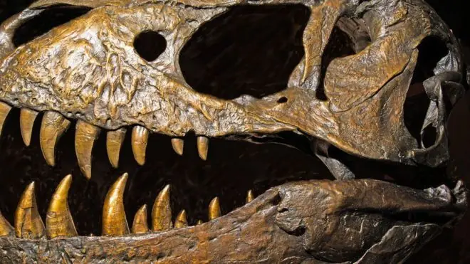 DINOSAURIOS