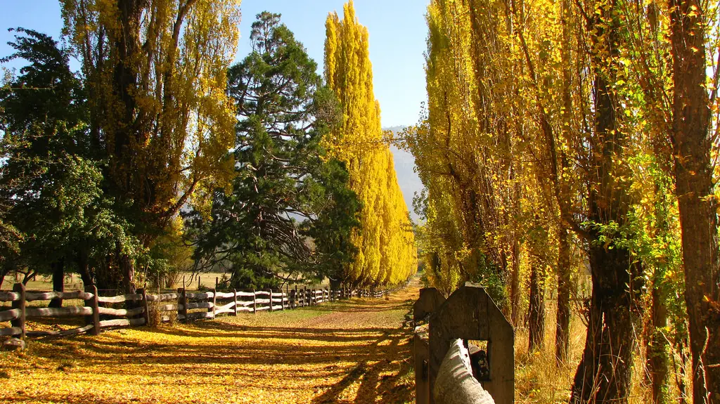 Te muestro paisajes de Chile, veni ponete el cinturon Te muestro paisajes de Chile, veni ponete el cinturon
