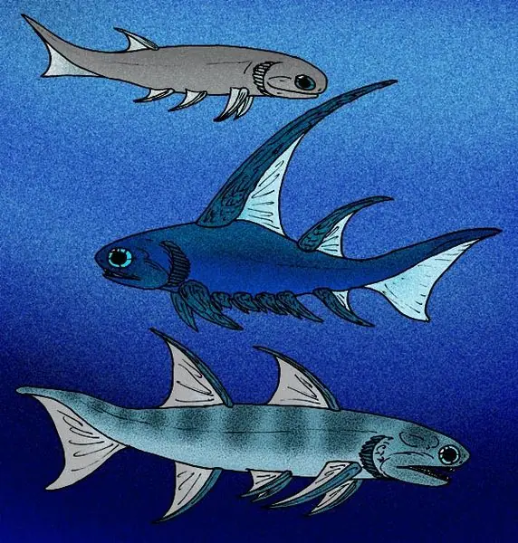 peces