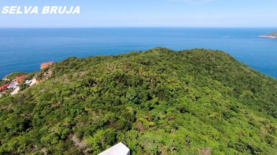 paraiso paraiso