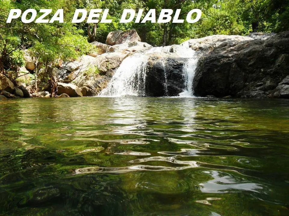 imagenes imagenes