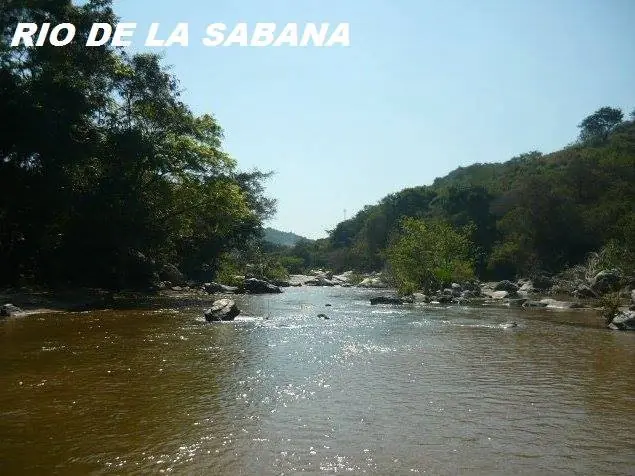 rio rio