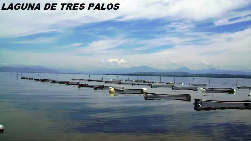 paraiso paraiso