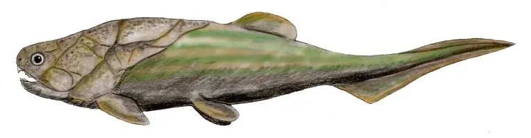 peces ancestrales