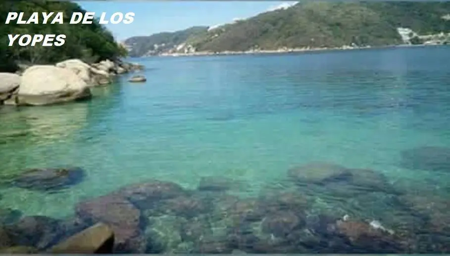 laguna laguna