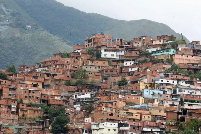 Vida Vida
