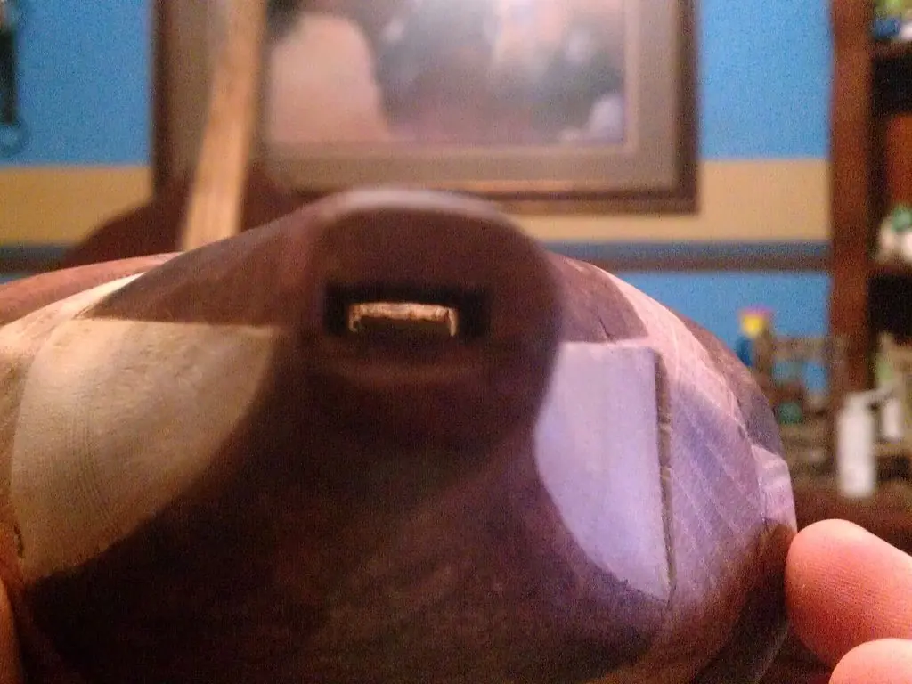 Ocarina