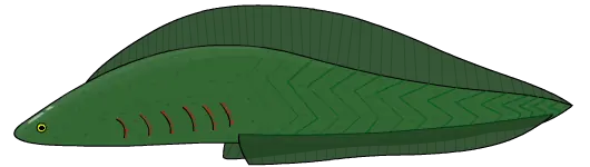 Origen de los vertebrados(Primeros peces)