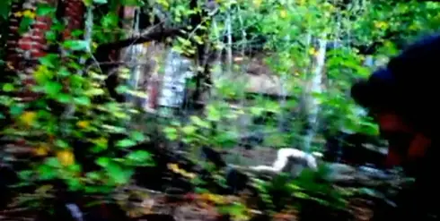 creepypasta
