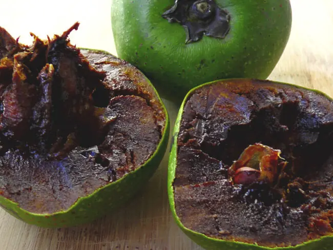 fruta fruta