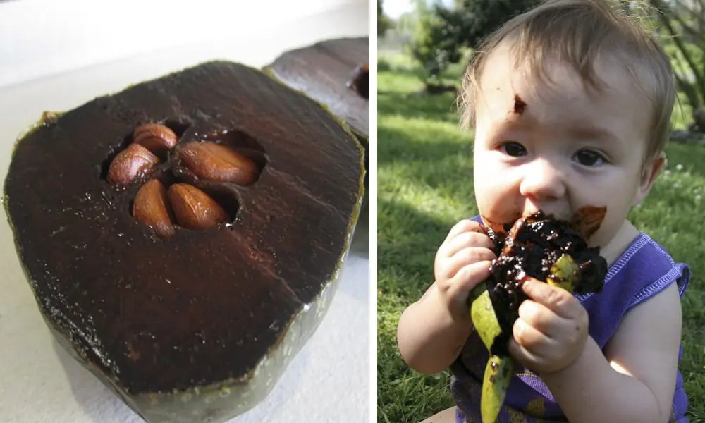 Esta fruta tiene el mismo sabor y textura del chocolate! Esta fruta tiene el mismo sabor y textura del chocolate!