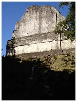 tikal