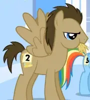 mlp