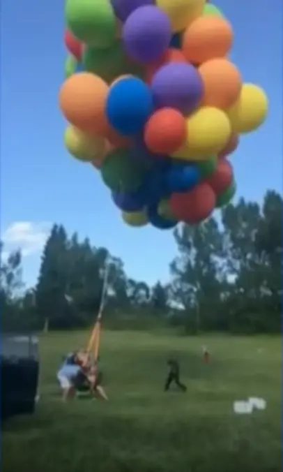 Volo
