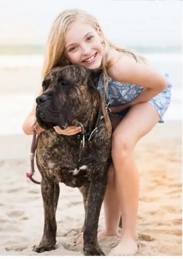 brynn rumfallo