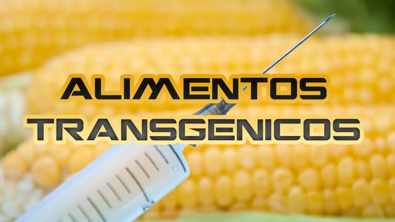 Tránsgenicos