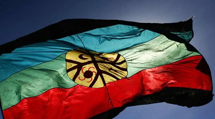 Resistencia mapuche incendió máquinaria del millonario Lewis