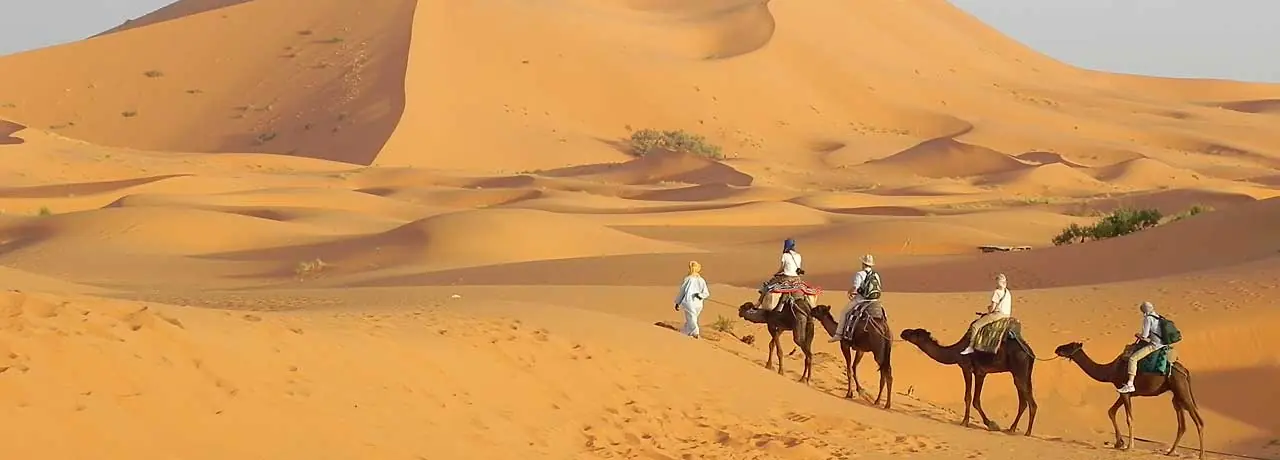 desierto