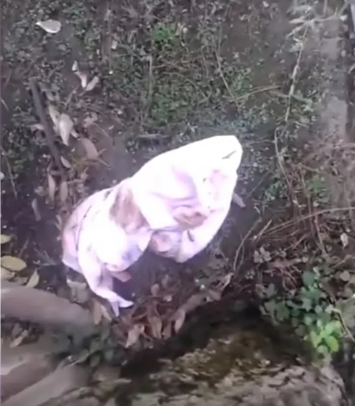 Hombre adopta a una recién nacida que encuentra en un parque