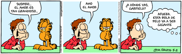 gato