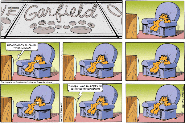 gato