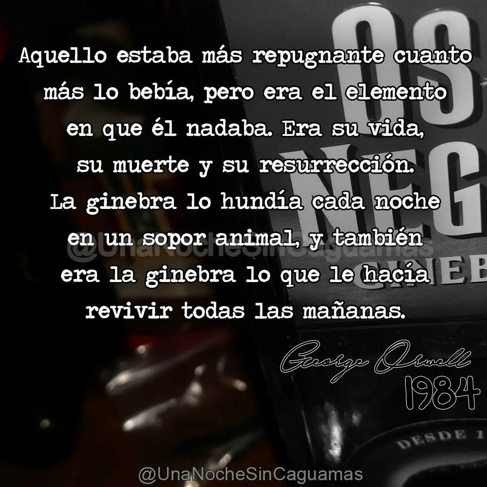el gran hermano nos vigila