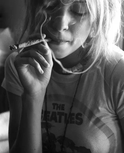 7 mitos que te dijeron sobre la marihuana y son falsos 7 mitos que te dijeron sobre la marihuana y son falsos