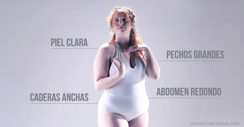 modelos