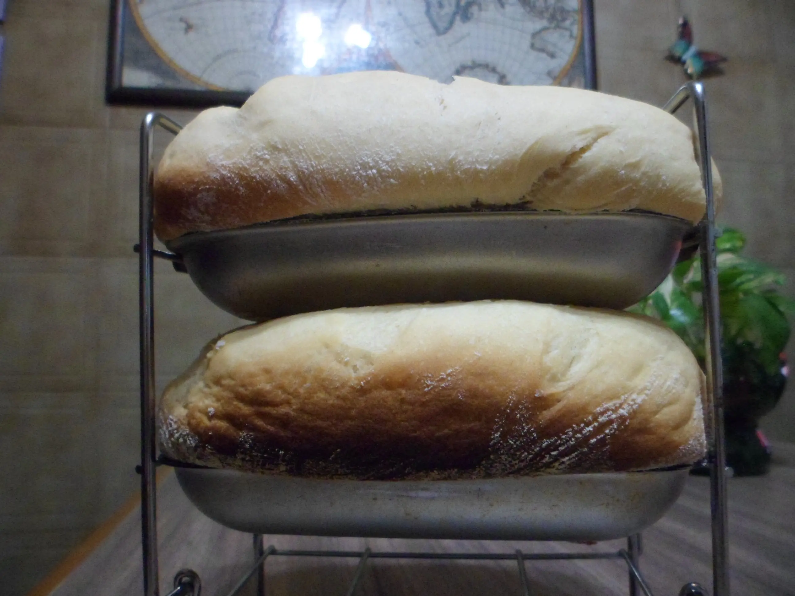 pan de viena