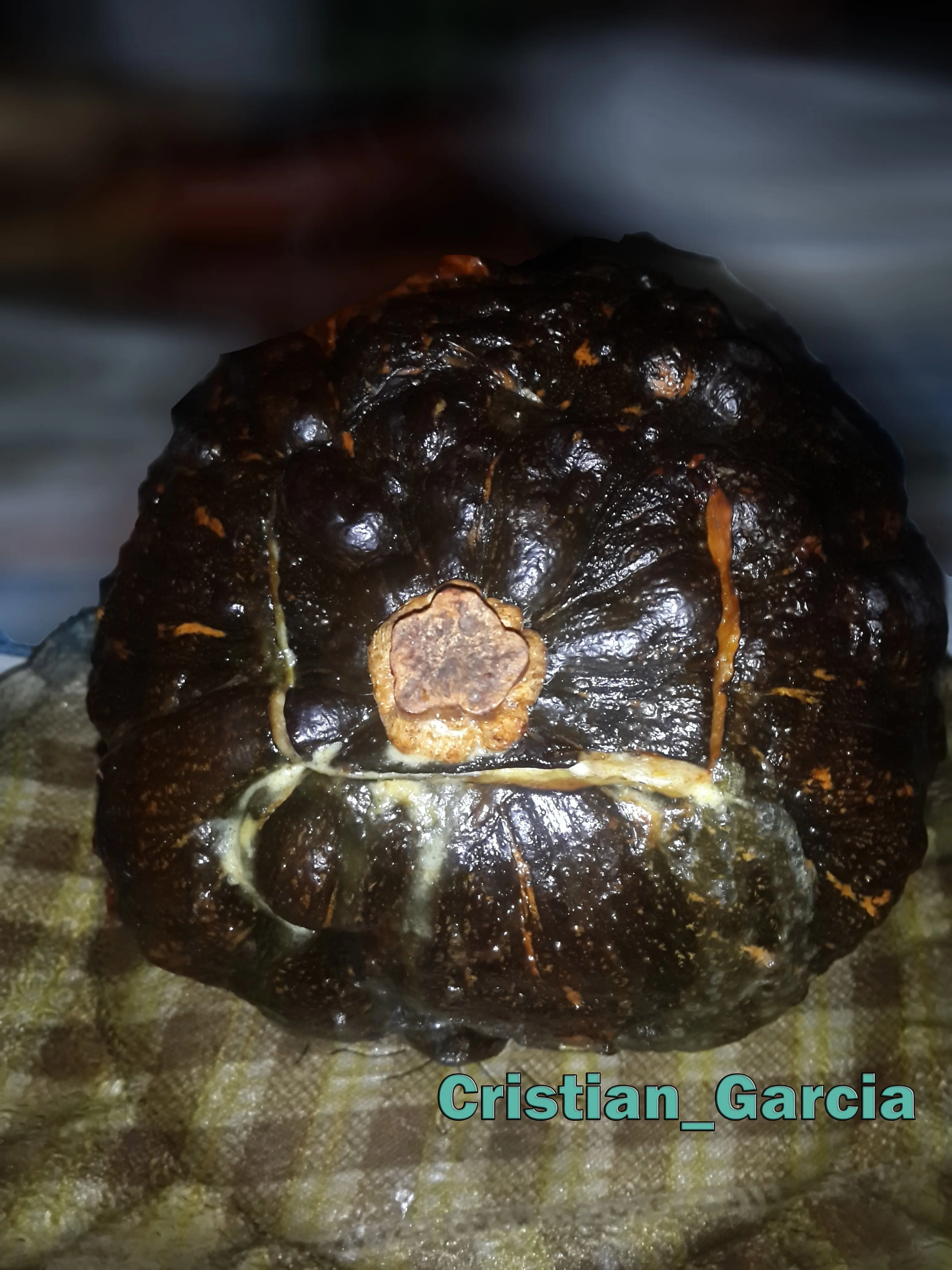 Zapallo Relleno (Foto receta) Zapallo Relleno (Foto receta)