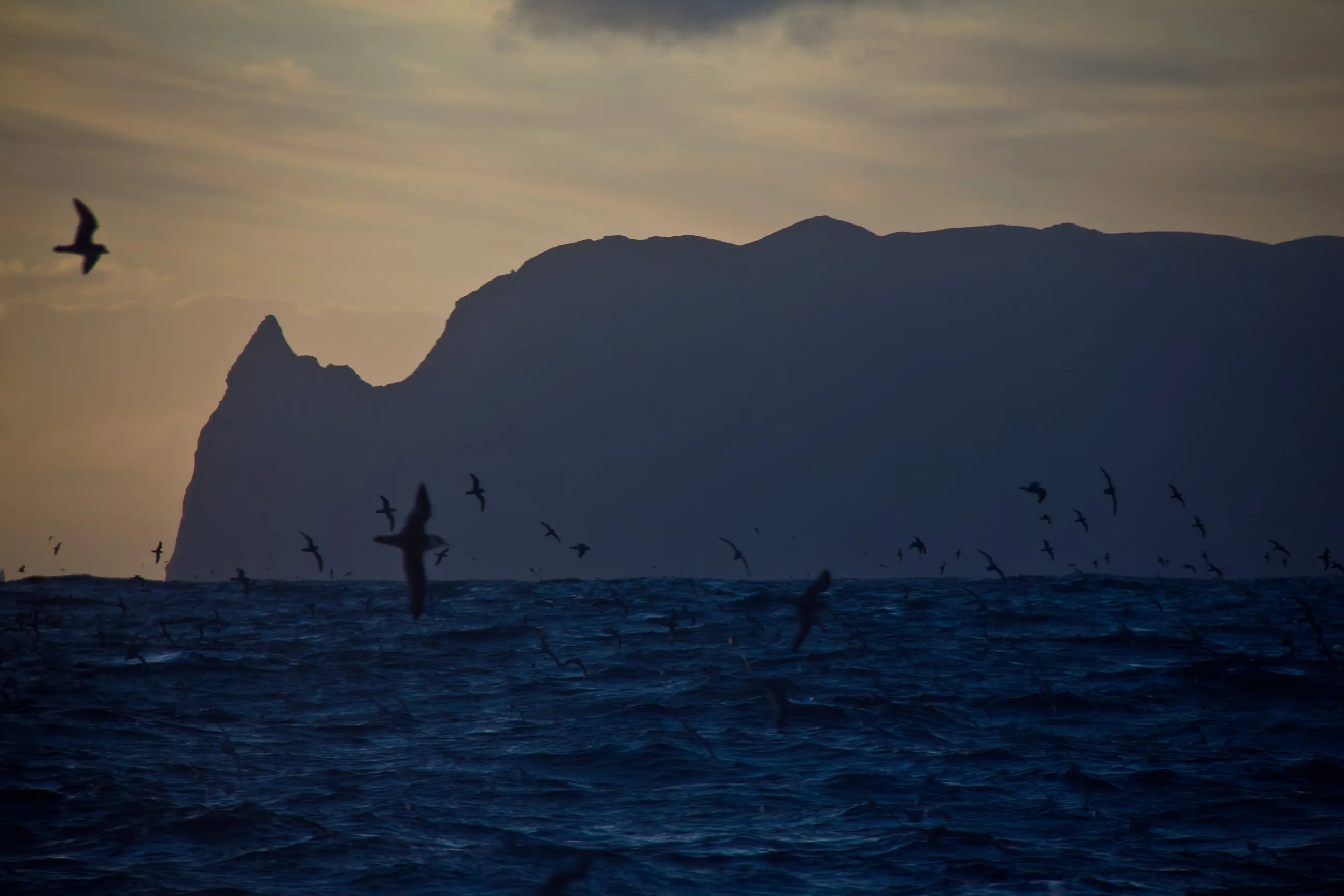 La Misteriosa Isla Inaccesible