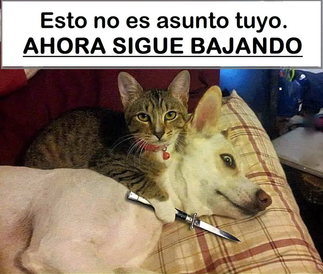 accidentes