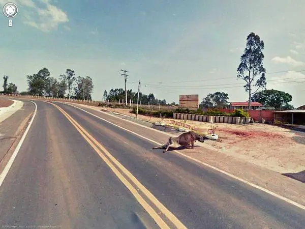 street view